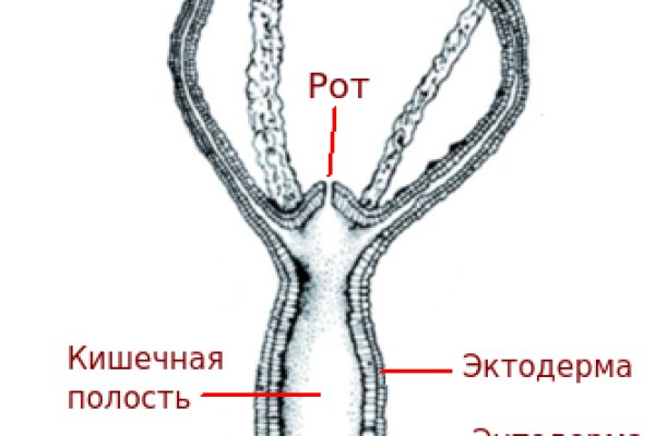 Кракен сайт маркетплейс