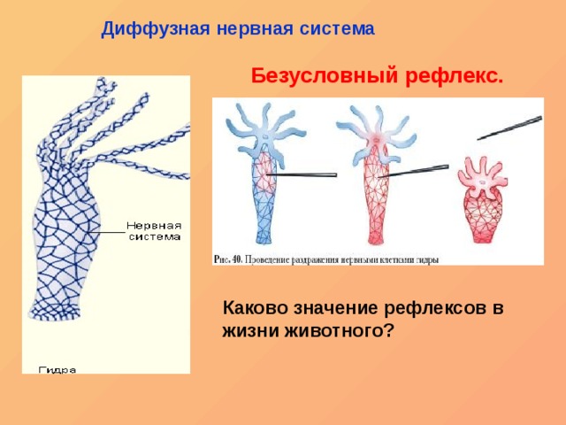 Официальная ссылка на кракен в тор