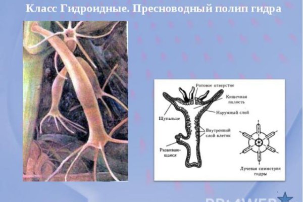 Кракен тор маркет пв